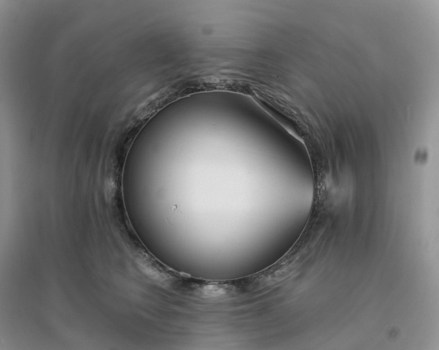 X0000096180566200802011345