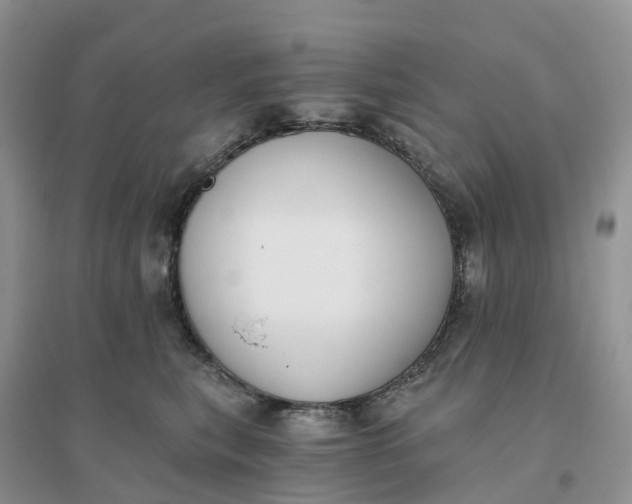 X0000096180567200802011345