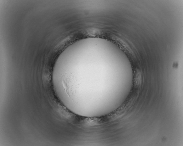 X0000096180569200802011345