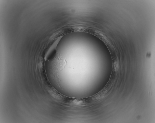 X0000096180570200802011345