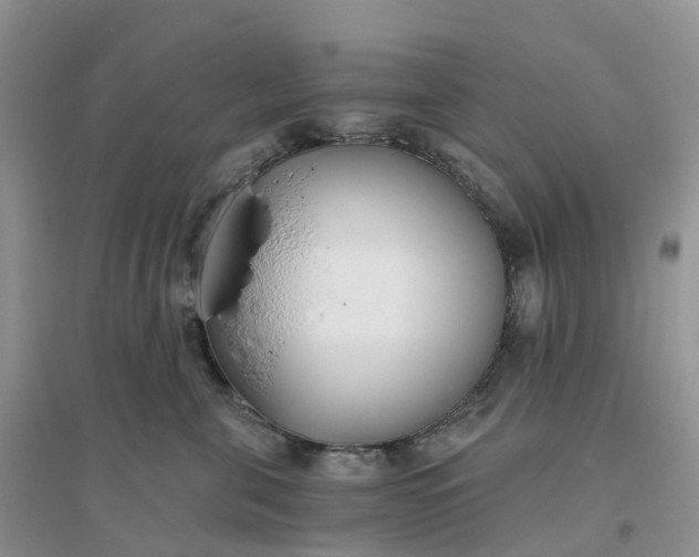 X0000096180571200802011345