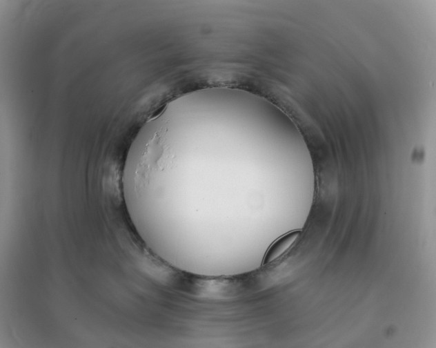 X0000096180575200802011345