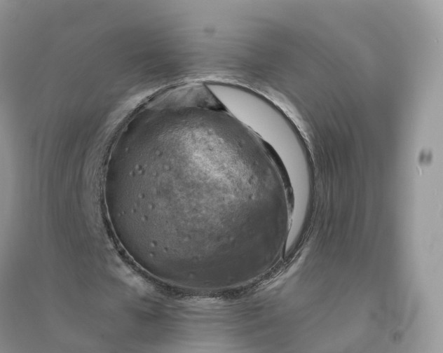 X0000096180577200802011344