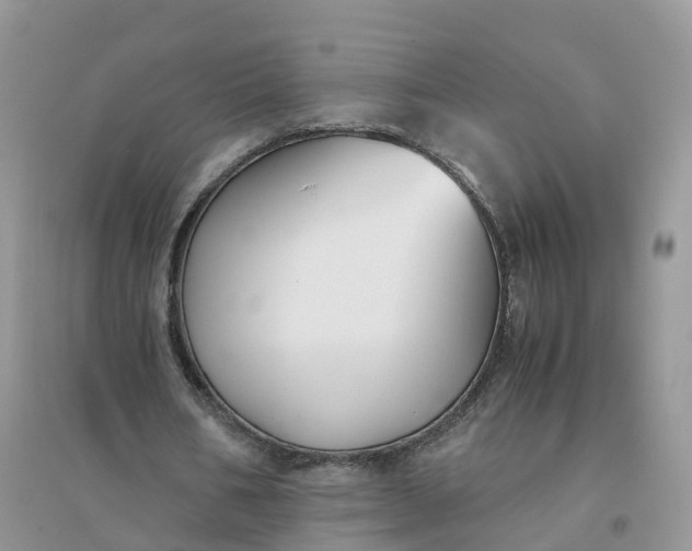 X0000096180578200802011344