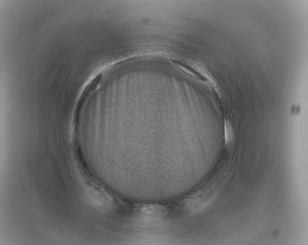 X0000096180579200802011344