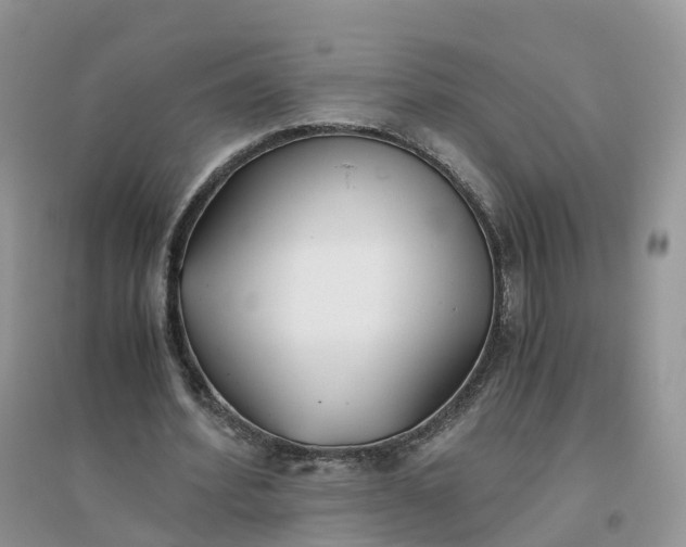 X0000096180580200802011344