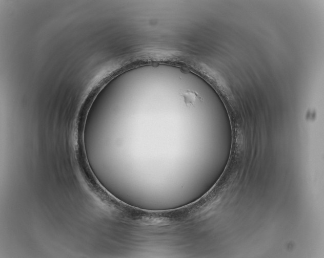 X0000096180582200802011344