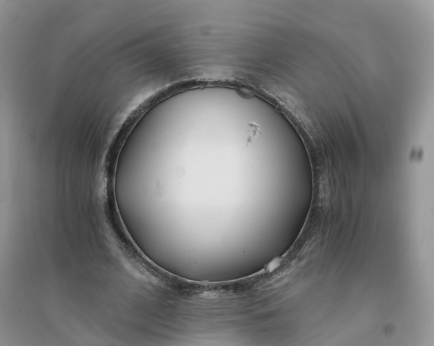 X0000096180584200802011344