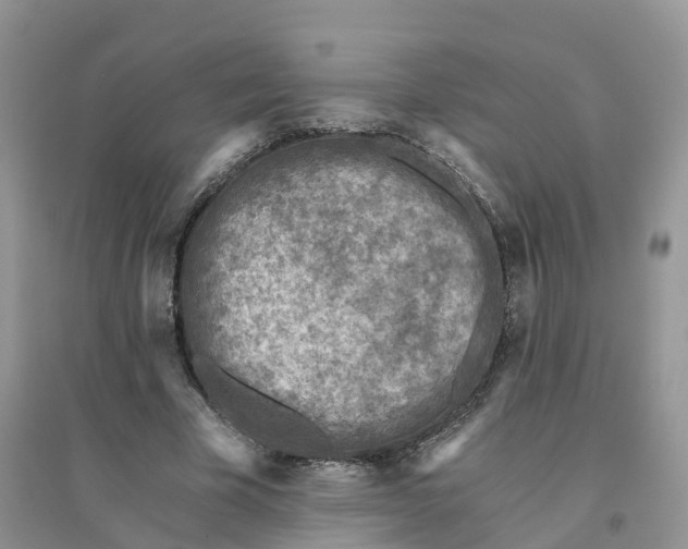 X0000096180585200802011344