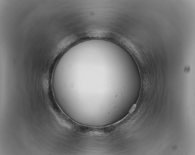 X0000096180586200802011344