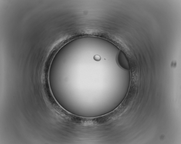 X0000096180587200802011344
