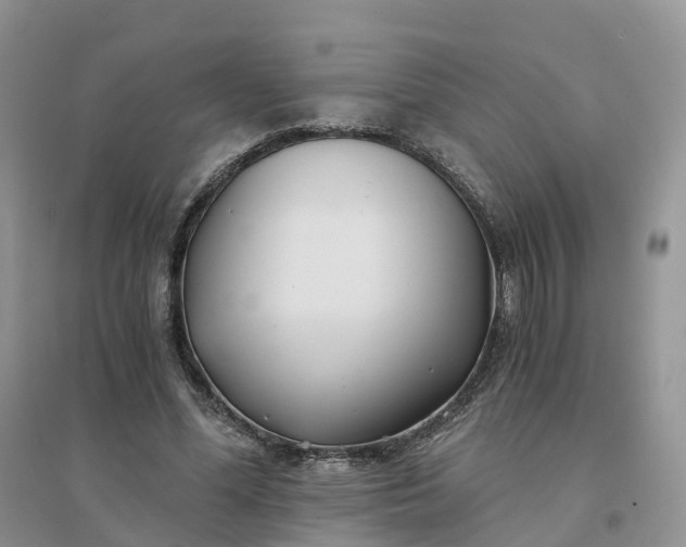 X0000096180588200802011344