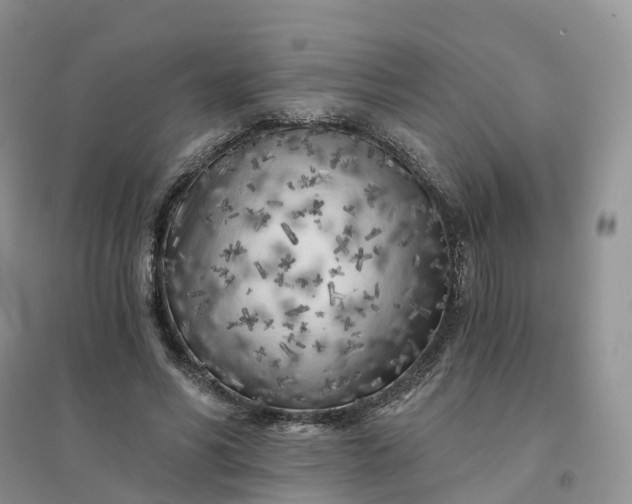 X0000096180590200802011344