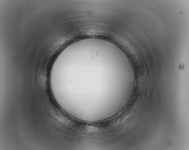 X0000096180592200802011344