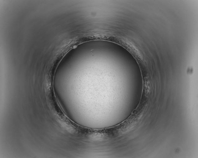 X0000096180593200802011344