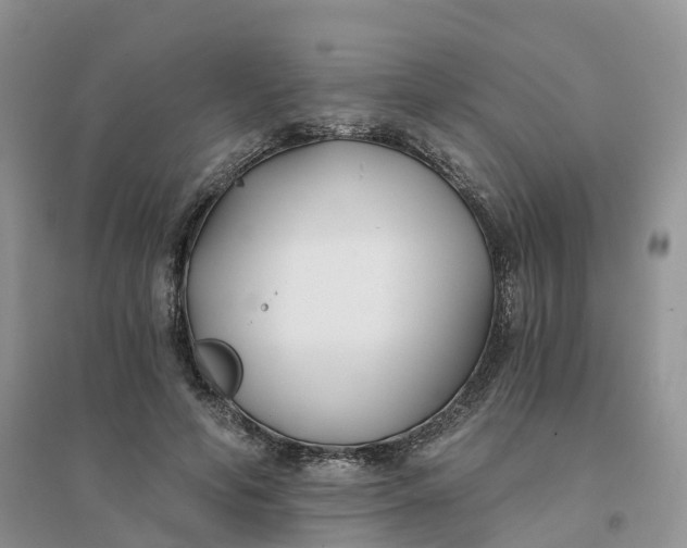 X0000096180594200802011344