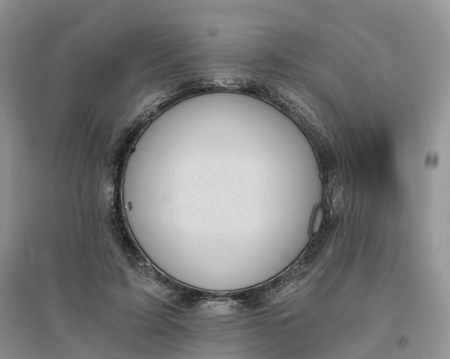 X0000096180595200802011344