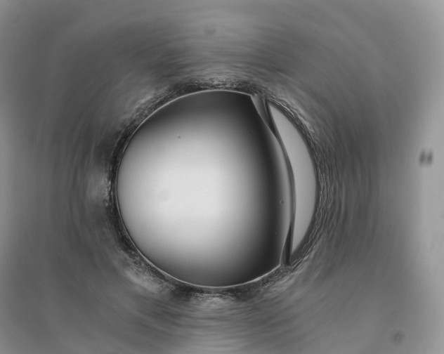X0000096180597200802011344