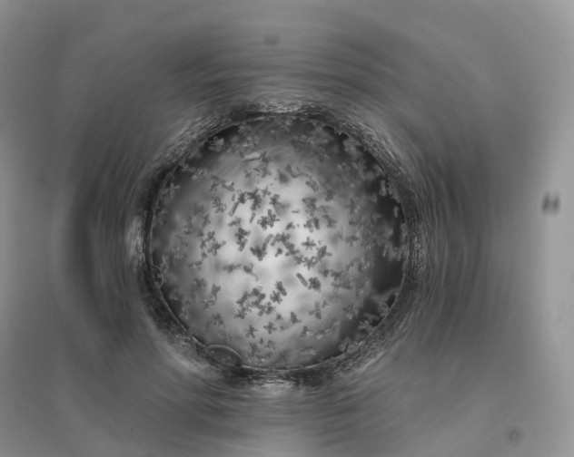 X0000096180598200802011344