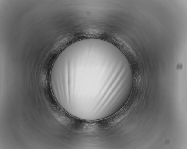 X0000096180599200802011344