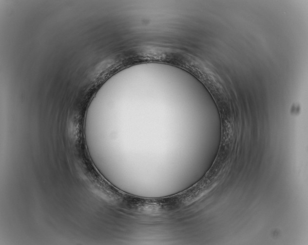 X0000096180600200802011344