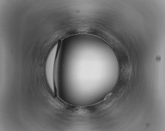 X0000096180601200802011344