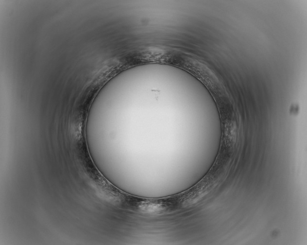 X0000096180602200802011344