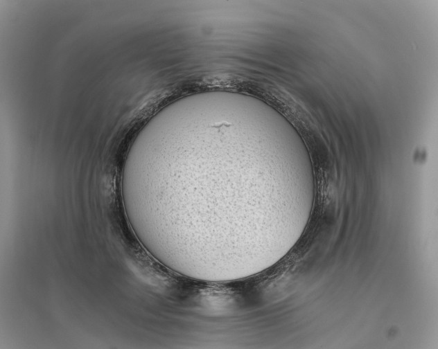 X0000096180603200802011344