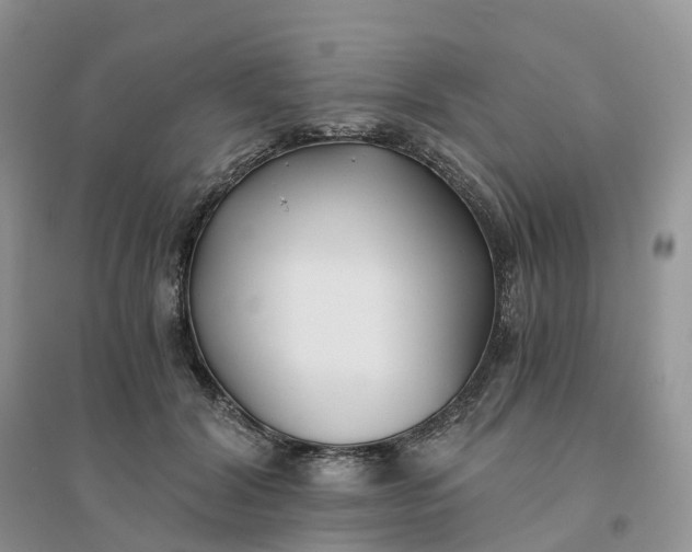 X0000096180604200802011344