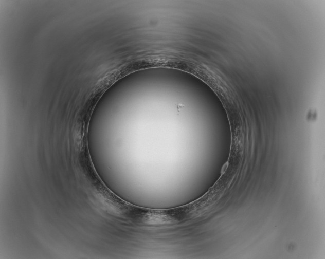 X0000096180605200802011344