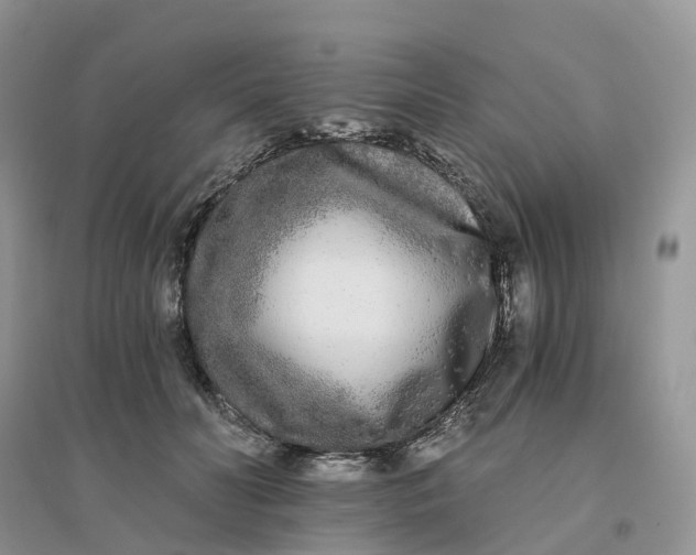 X0000096180606200802011344