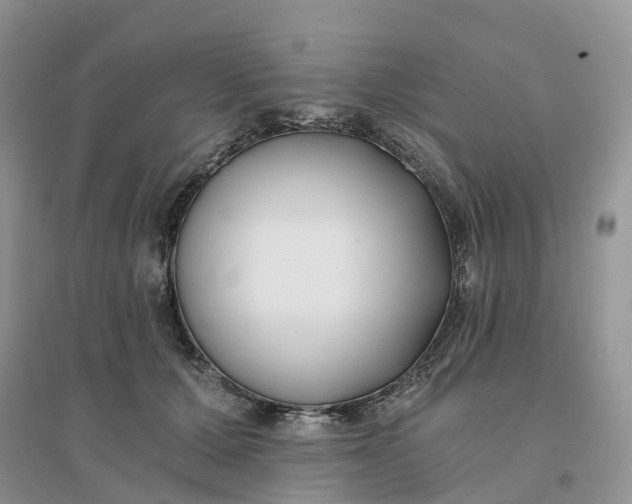 X0000096180607200802011344