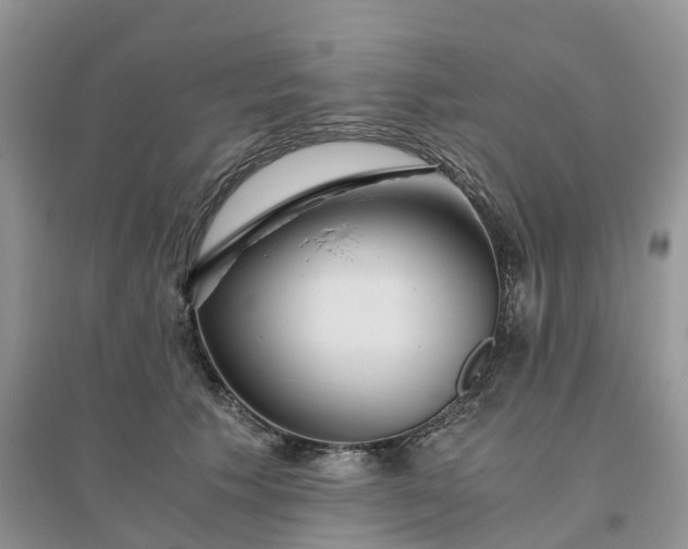 X0000096180609200802011344