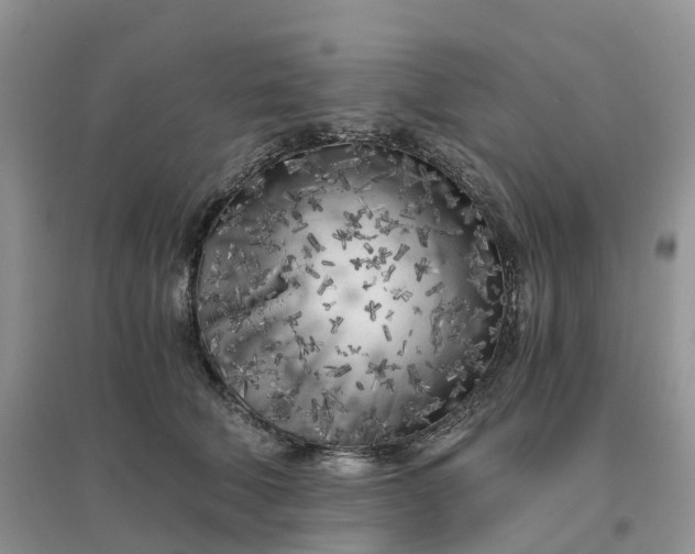 X0000096180610200802011344