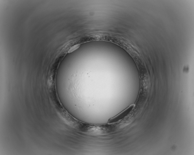 X0000096180611200802011344