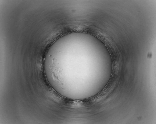 X0000096180612200802011344