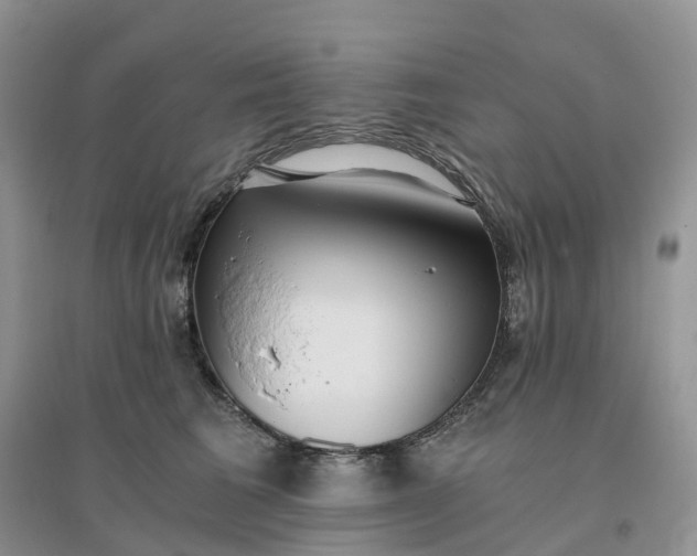 X0000096180613200802011344