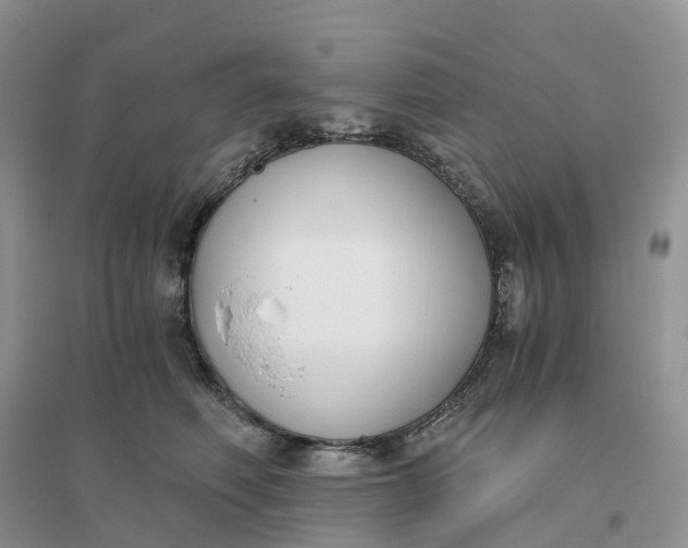 X0000096180614200802011344