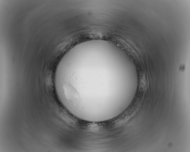 X0000096180616200802011344