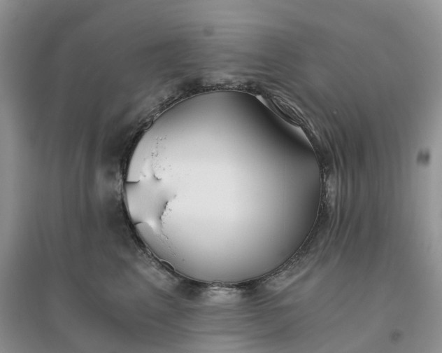 X0000096180617200802011344