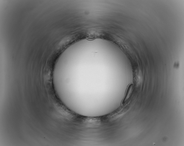 X0000096180619200802011344