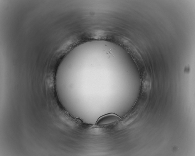 X0000096180620200802011344