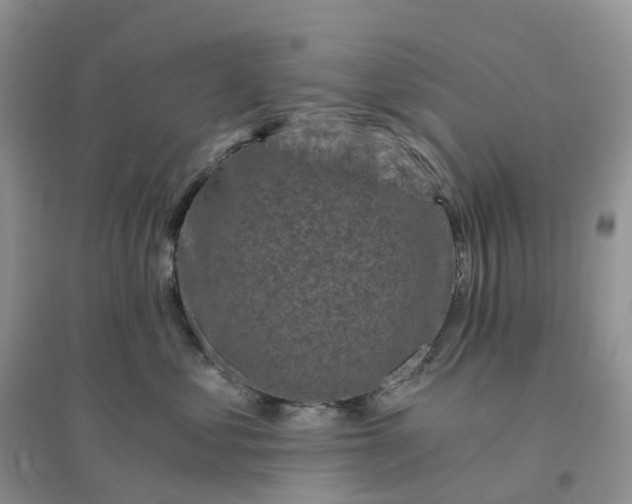 X0000096180621200802011344