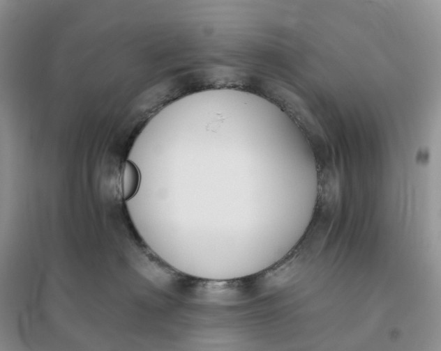 X0000096180622200802011344