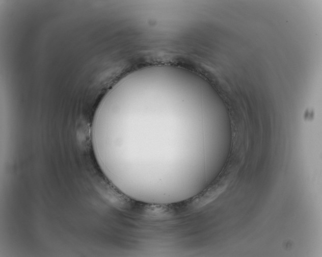 X0000096180624200802011344