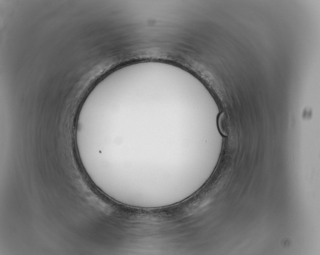 X0000096180625200802011343