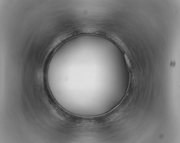 X0000096180626200802011343