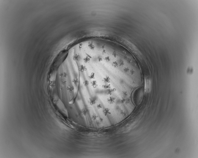 X0000096180627200802011343