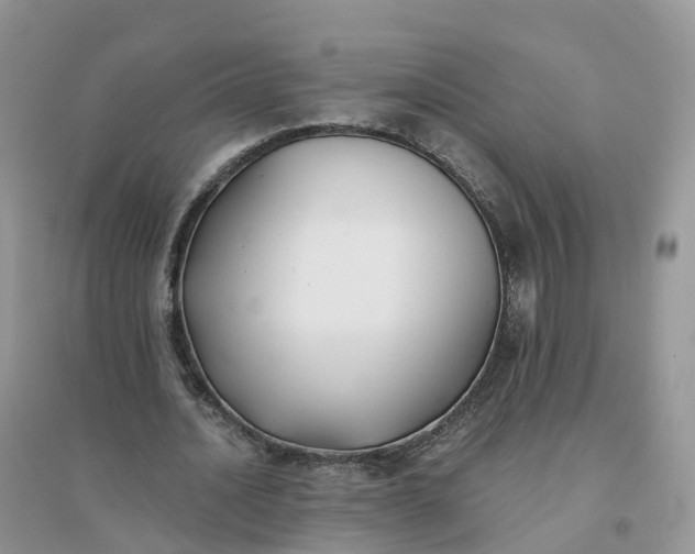 X0000096180628200802011343