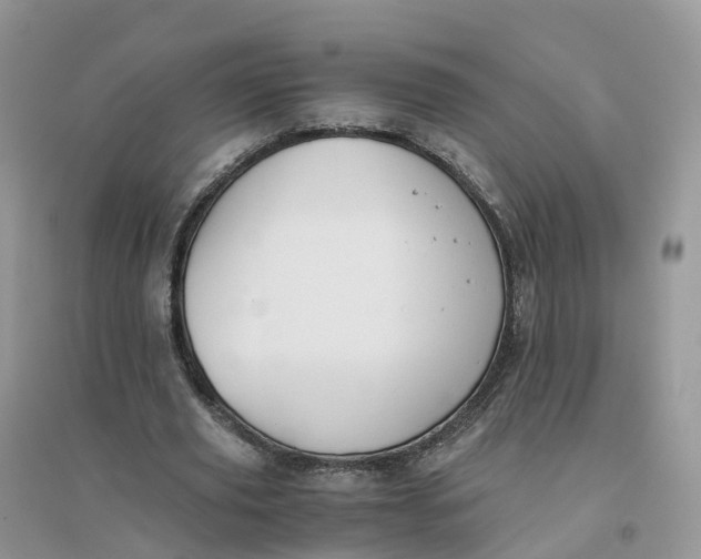 X0000096180629200802011343